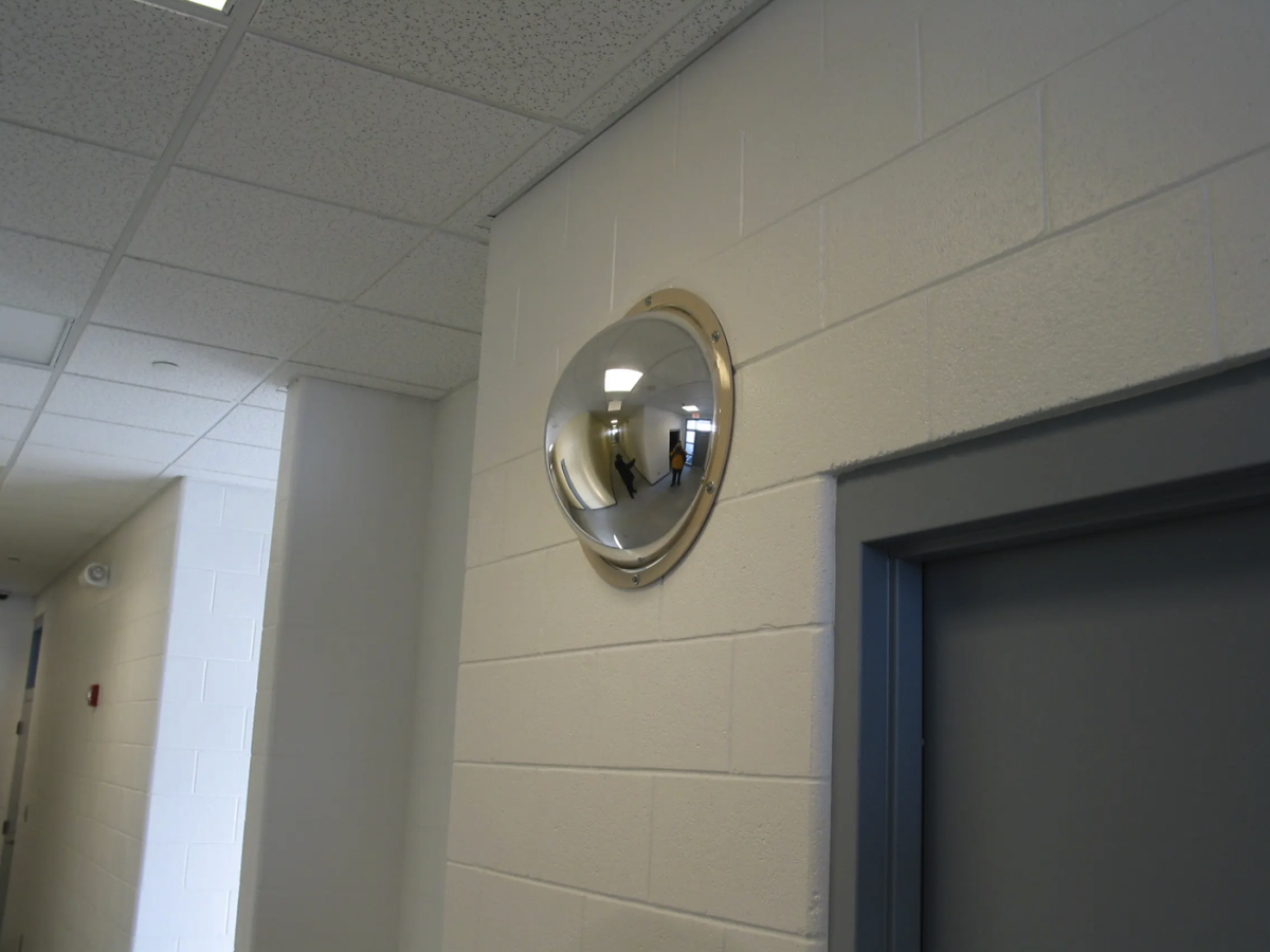 Full Dome Convex Mirror - SWS Group